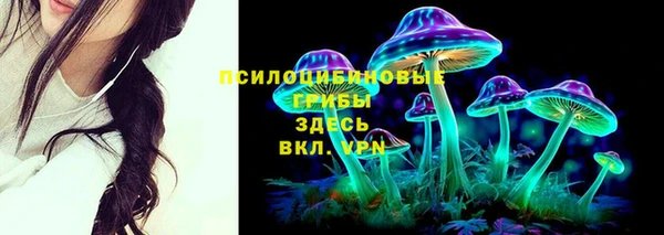 гидропоника Зеленокумск