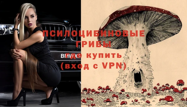 гидропоника Зеленокумск
