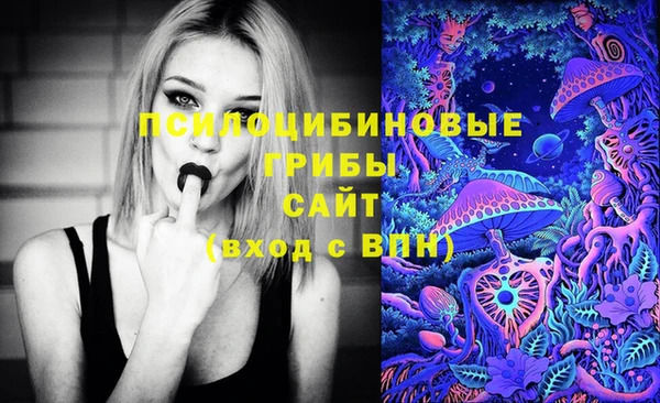 гидропоника Зеленокумск