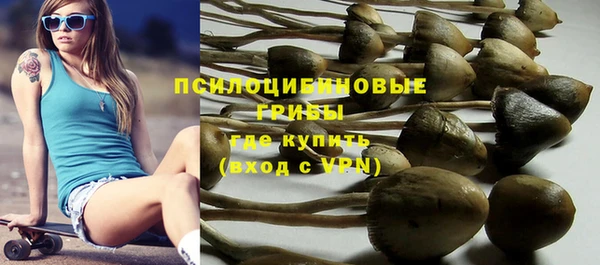 гидропоника Зеленокумск
