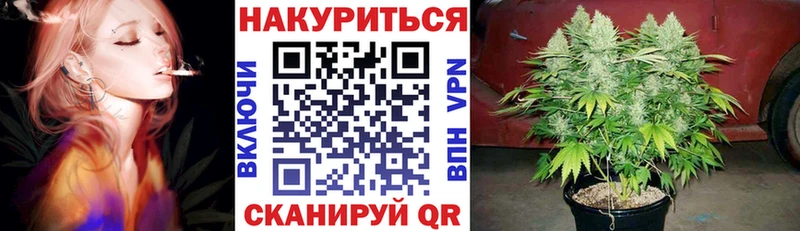 Конопля Amnesia  Купить закладки  Лебедянь 